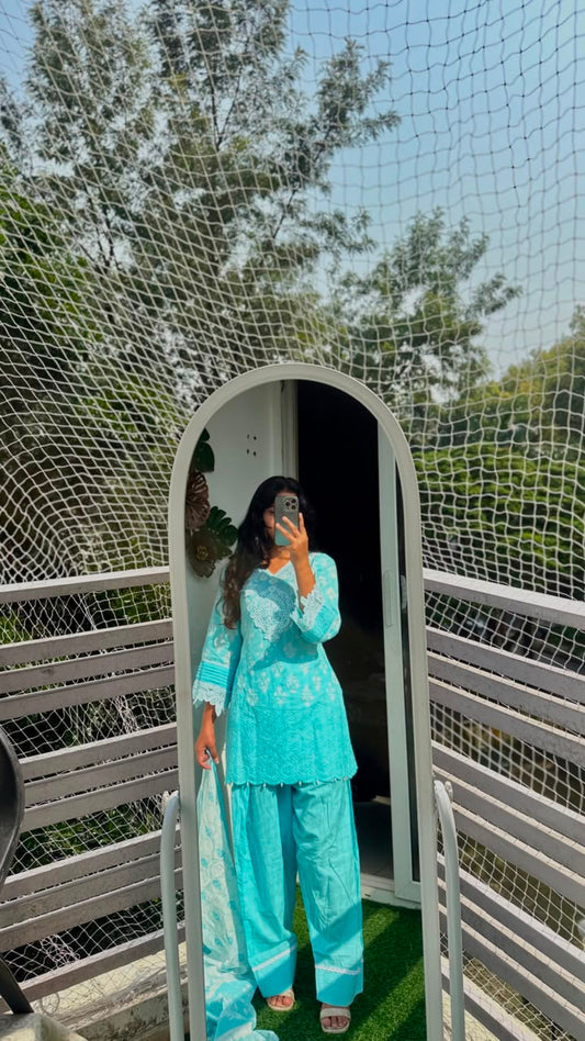 Light Blue Floral Embroidered Farshi Suit Set